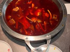 -蜀滋香鲜鱼美蛙火锅(339店)