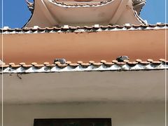 -水濂山森林公园