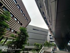 -四川宋瓷博物馆