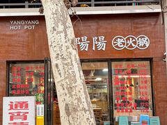 -阳阳老火锅(小南门店)
