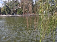 -翠湖公园