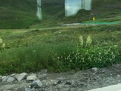 -长白山吉祥物天池水怪专卖