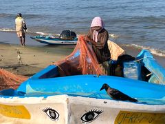 -尼甘布海鲜市场