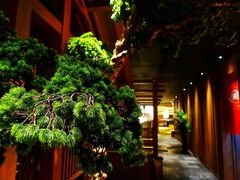 -蟹将军·松叶蟹和牛日料放题自助(K11店)