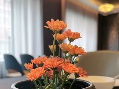 -喜湘宴·精致湖南菜(和平西桥店)