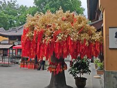 -灵谷景区