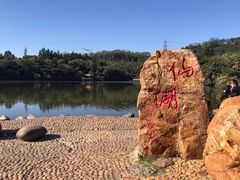 -深圳仙湖植物园