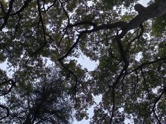 -杭州植物园