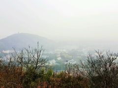 -上海佘山国家森林公园西佘山园