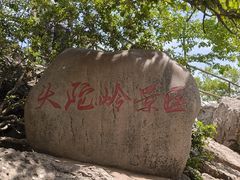 -紫金山山顶公园
