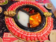 -蜀大侠火锅(森兰花园城店)