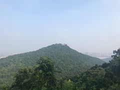 -九曜山
