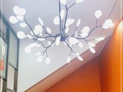 -光明新鲜屋·鲜乳茶(乾坤店)