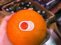 沃柑-菜园坝水果市场