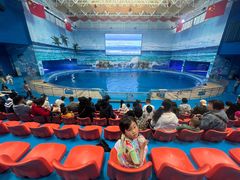 -多彩贵州城极地海洋世界