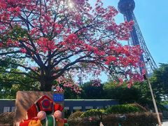 -文华公园(禅城区)