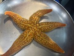 -船梆煮•蒸汽海鲜·生腌干蒸(五四广场店)