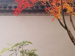 -秋霞圃