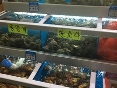 -西归浦每天偶来市场