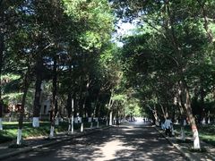 -陕西师范大学(雁塔校区)