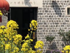 -瓦库茶馆17号(海汇港店)