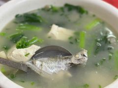 -蛇口康乐快餐鱼仔档(翠苑小区店)