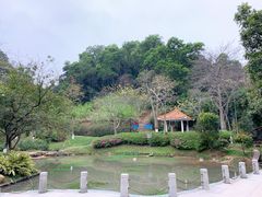 -火炉山森林公园