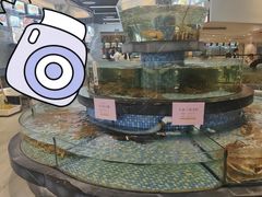 -金塘胜宴(石湾店)
