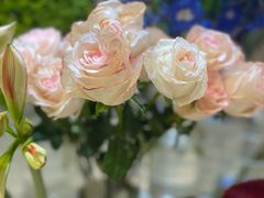 -向花仕Bloomy Life咖啡鲜花(益田假日店)