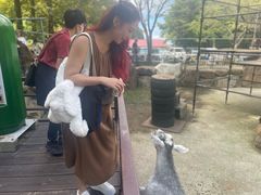 -神户市立六甲山牧场