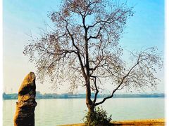 -东湖落雁景区