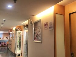 -深圳美莱医疗美容医院