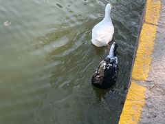 -团结湖公园