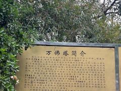 -焦山景区-万佛塔