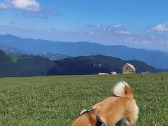 -灵山