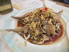 -松云居.大连人.大连菜