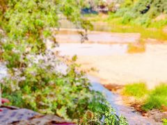 -乌托邦酒吧和餐厅