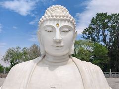 -沈阳辉山风景区