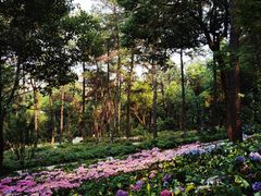 -临平公园(临平街道)