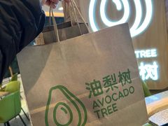 -油梨树AVOCADO TREE(嘉里中心店)