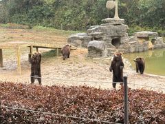 -杭州野生动物世界