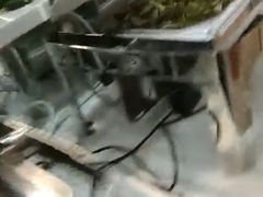 -鼎先生海鲜自助烤肉火锅(大学城店)