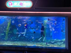 -顺德南宏海立方海洋公园