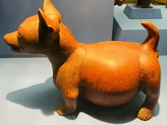 -美国自然历史博物馆