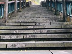 -金盆阿嬷香菇茶叶蛋(玄光店)