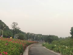 -深圳湾公园(南山区)