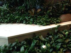 iphone_upload_pic-上海新锦江大酒店