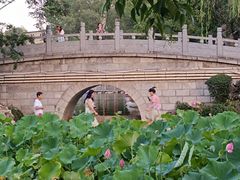 -莲湖公园