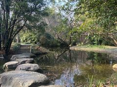 -上海滨江森林公园