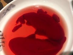 -青瓷火锅料理(西单大悦城店)